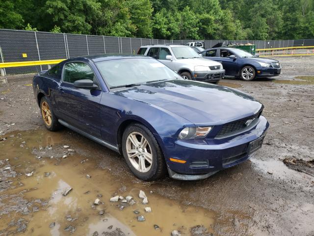 FORD MUSTANG 2011 1zvbp8am5b5138351