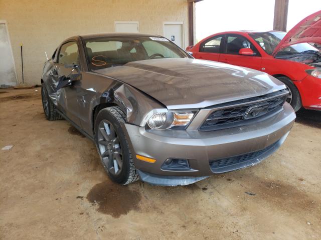 FORD MUSTANG 2011 1zvbp8am5b5147406