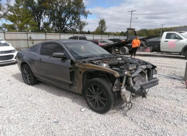 FORD MUSTANG 2011 1zvbp8am5b5149866