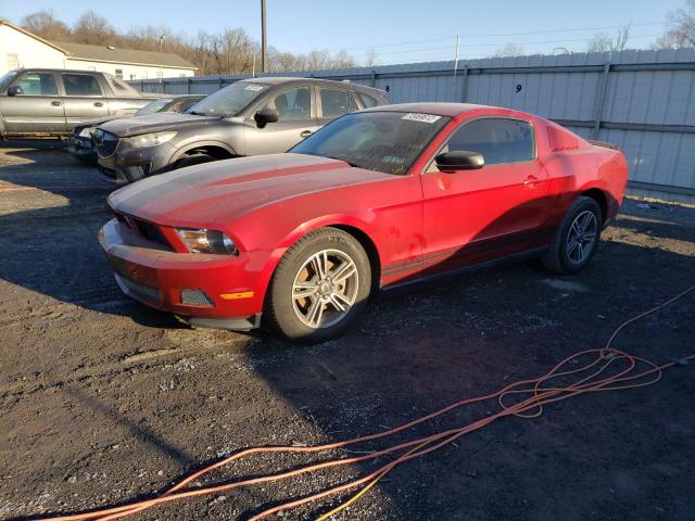 FORD MUSTANG 2011 1zvbp8am5b5151309