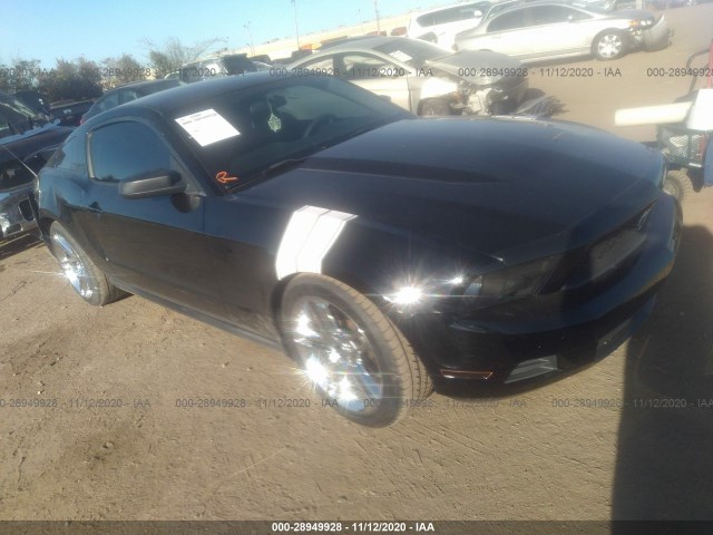 FORD MUSTANG 2011 1zvbp8am5b5154498