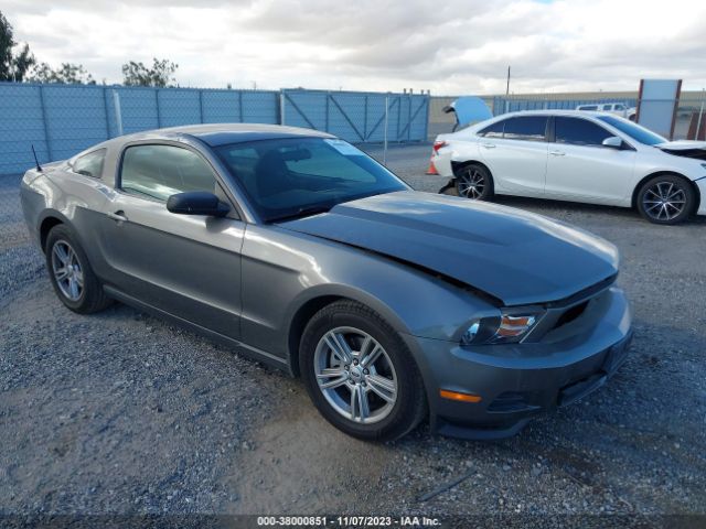 FORD MUSTANG 2011 1zvbp8am5b5157613