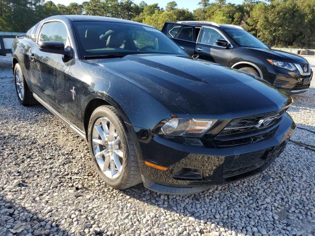 FORD MUSTANG 2011 1zvbp8am5b5164335