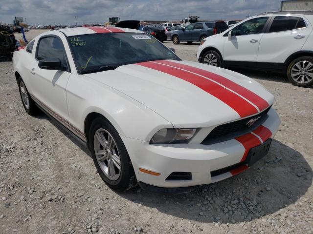 FORD MUSTANG 2011 1zvbp8am5b5168854