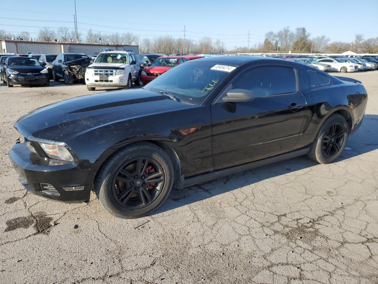 FORD MUSTANG 2012 1zvbp8am5c5206357