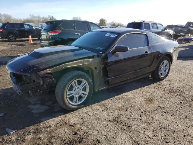 FORD MUSTANG 2012 1zvbp8am5c5215558