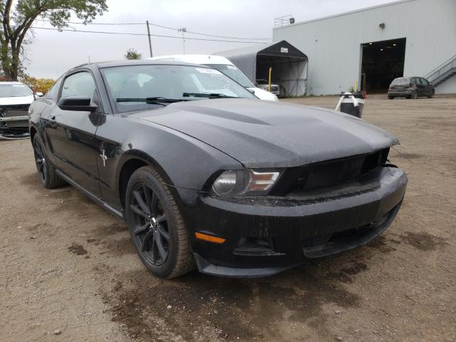 FORD MUSTANG 2012 1zvbp8am5c5219612