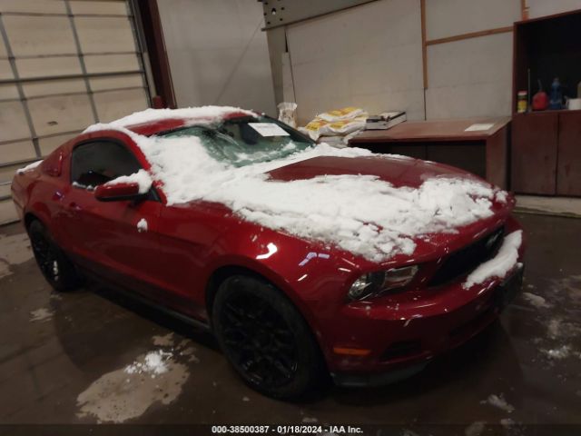 FORD MUSTANG 2012 1zvbp8am5c5251539