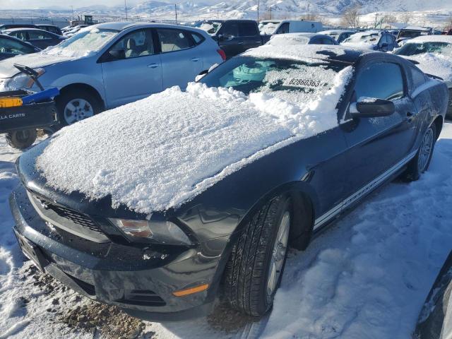 FORD MUSTANG 2012 1zvbp8am5c5268132