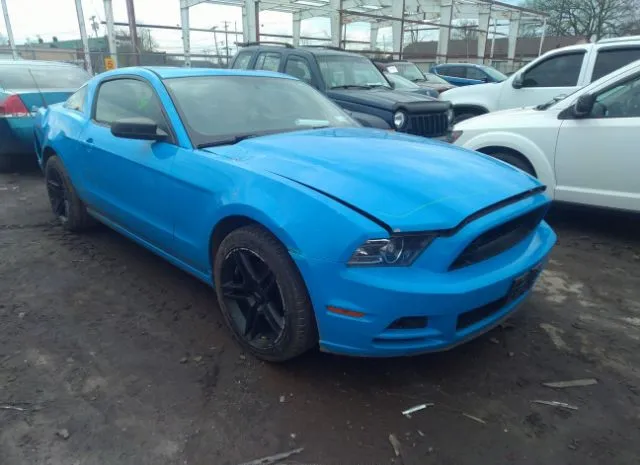 FORD MUSTANG 2013 1zvbp8am5d5205114