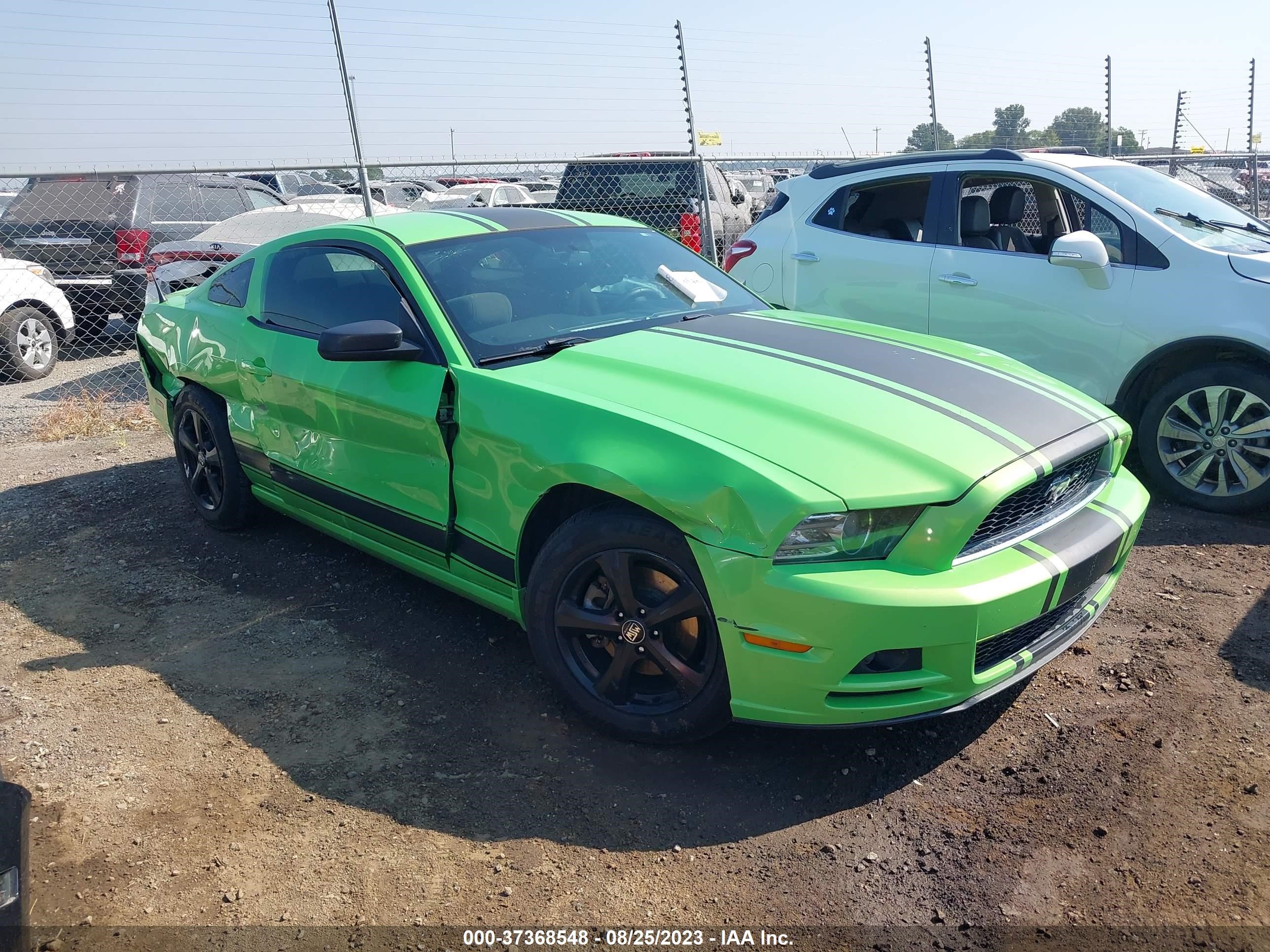 FORD MUSTANG 2013 1zvbp8am5d5210636