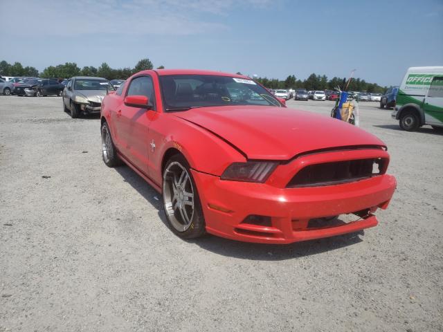 FORD MUSTANG 2013 1zvbp8am5d5212483