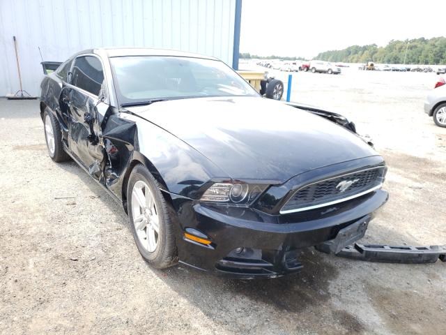 FORD MUSTANG 2013 1zvbp8am5d5216176