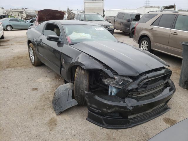 FORD MUSTANG 2013 1zvbp8am5d5219143