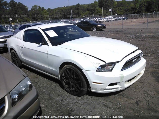 FORD MUSTANG 2013 1zvbp8am5d5219319