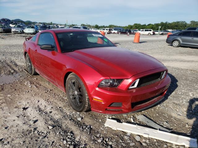 FORD MUSTANG 2013 1zvbp8am5d5225881