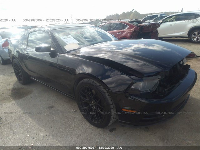 FORD MUSTANG 2013 1zvbp8am5d5249470