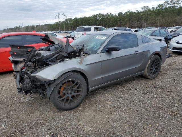 FORD MUSTANG 2013 1zvbp8am5d5254829