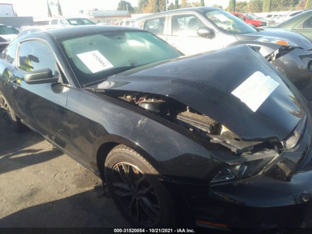 FORD MUSTANG 2013 1zvbp8am5d5255303