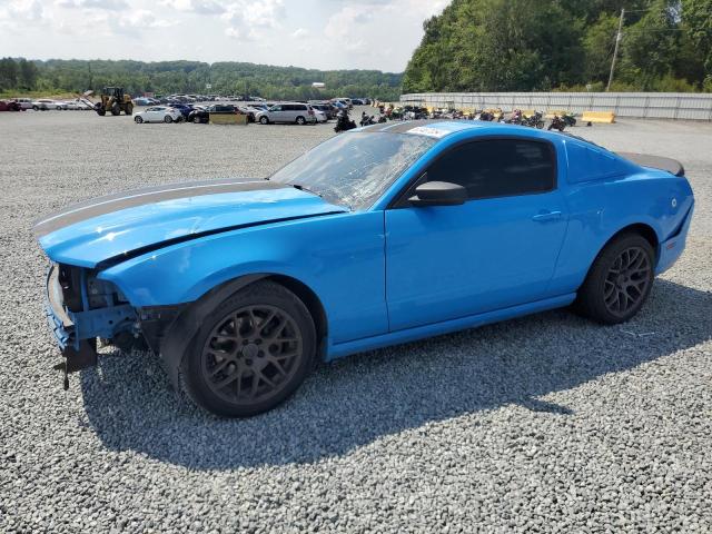 FORD MUSTANG 2013 1zvbp8am5d5256516