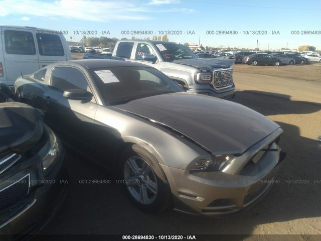 FORD MUSTANG 2013 1zvbp8am5d5257293