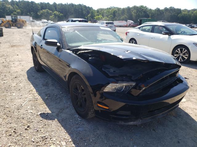 FORD MUSTANG 2013 1zvbp8am5d5258444