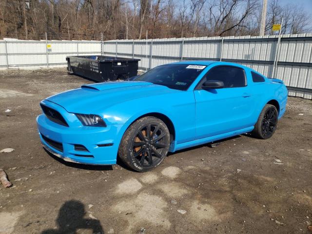 FORD MUSTANG 2013 1zvbp8am5d5262011