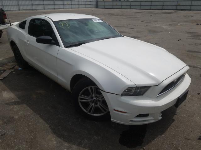 FORD MUSTANG 2013 1zvbp8am5d5265636