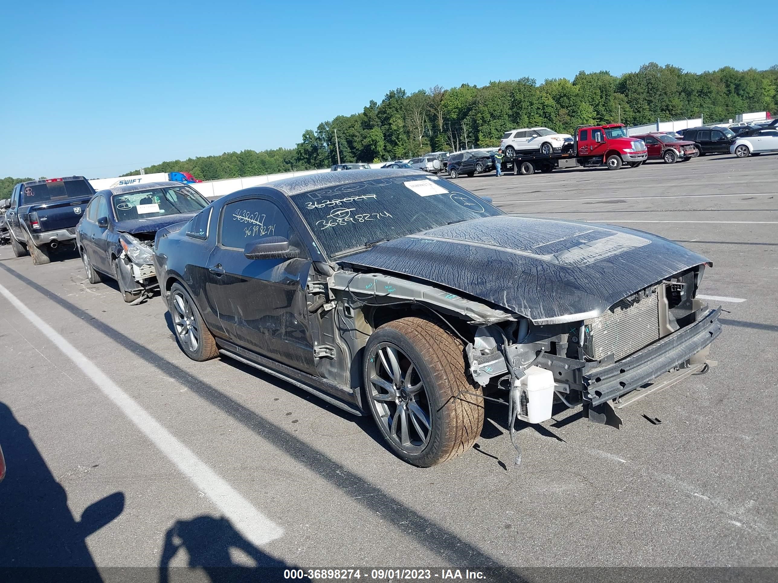 FORD MUSTANG 2013 1zvbp8am5d5267810