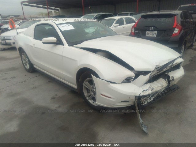 FORD MUSTANG 2013 1zvbp8am5d5268777