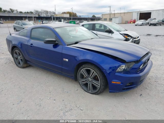 FORD MUSTANG 2013 1zvbp8am5d5271131