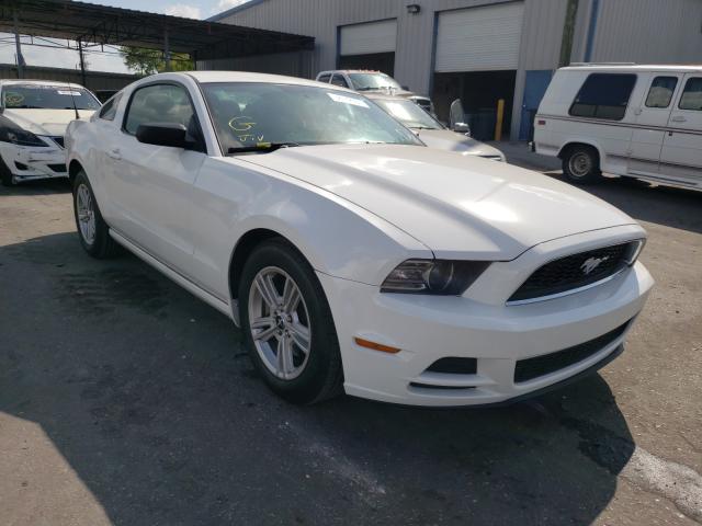 FORD MUSTANG 2013 1zvbp8am5d5271985