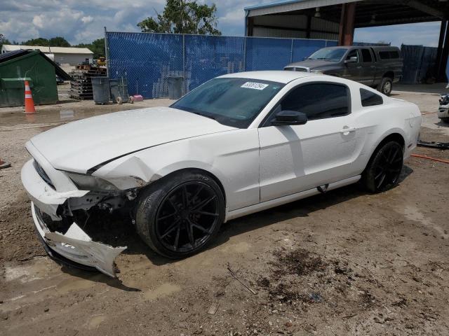 FORD MUSTANG 2013 1zvbp8am5d5275857