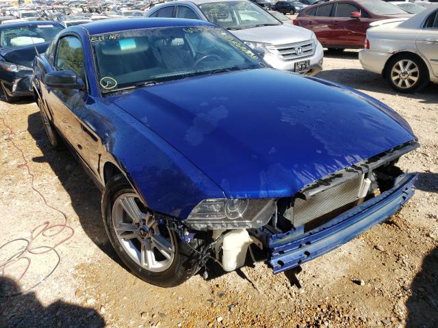 FORD MUSTANG 2013 1zvbp8am5d5281108