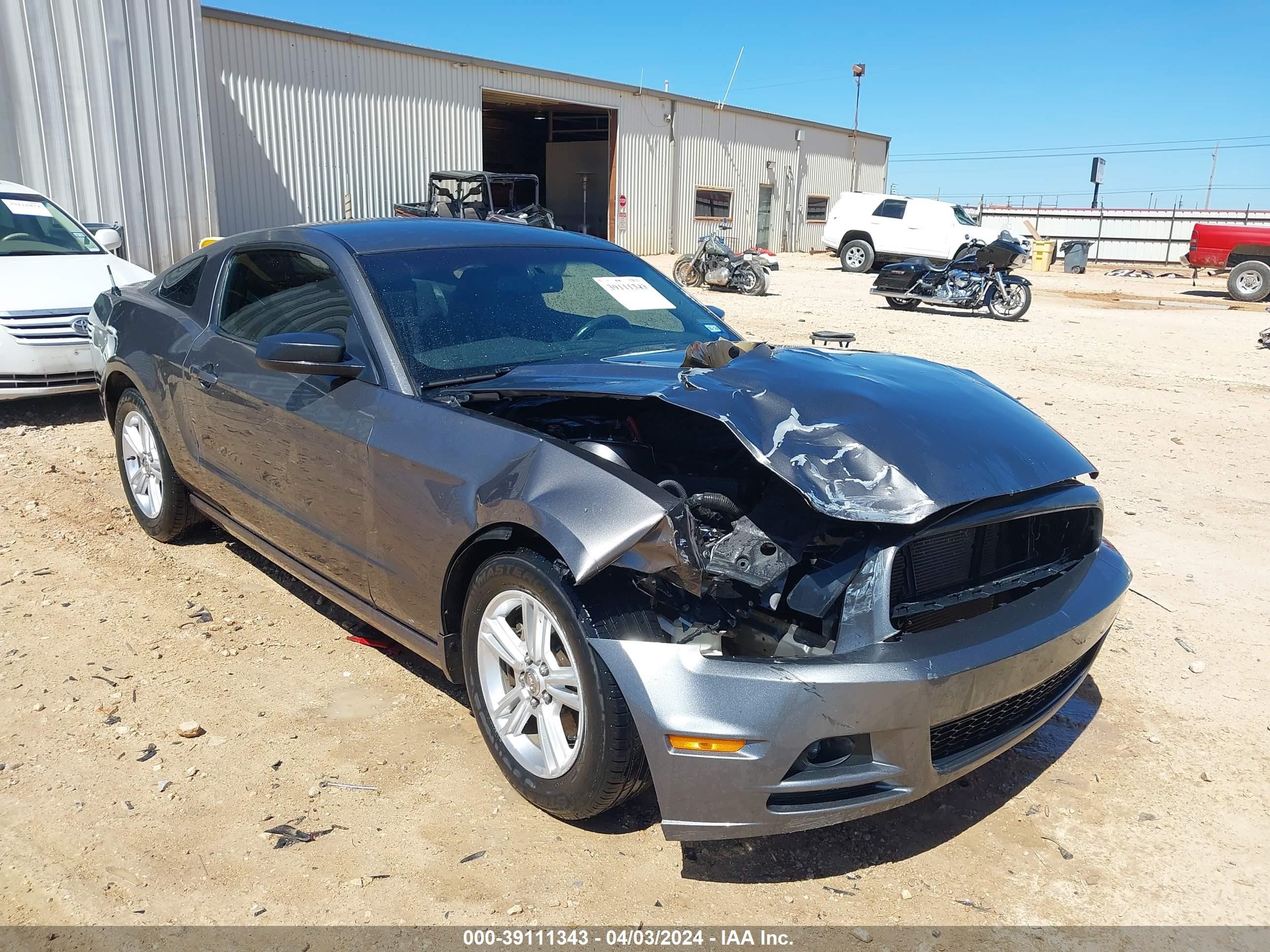 FORD MUSTANG 2013 1zvbp8am5d5282176