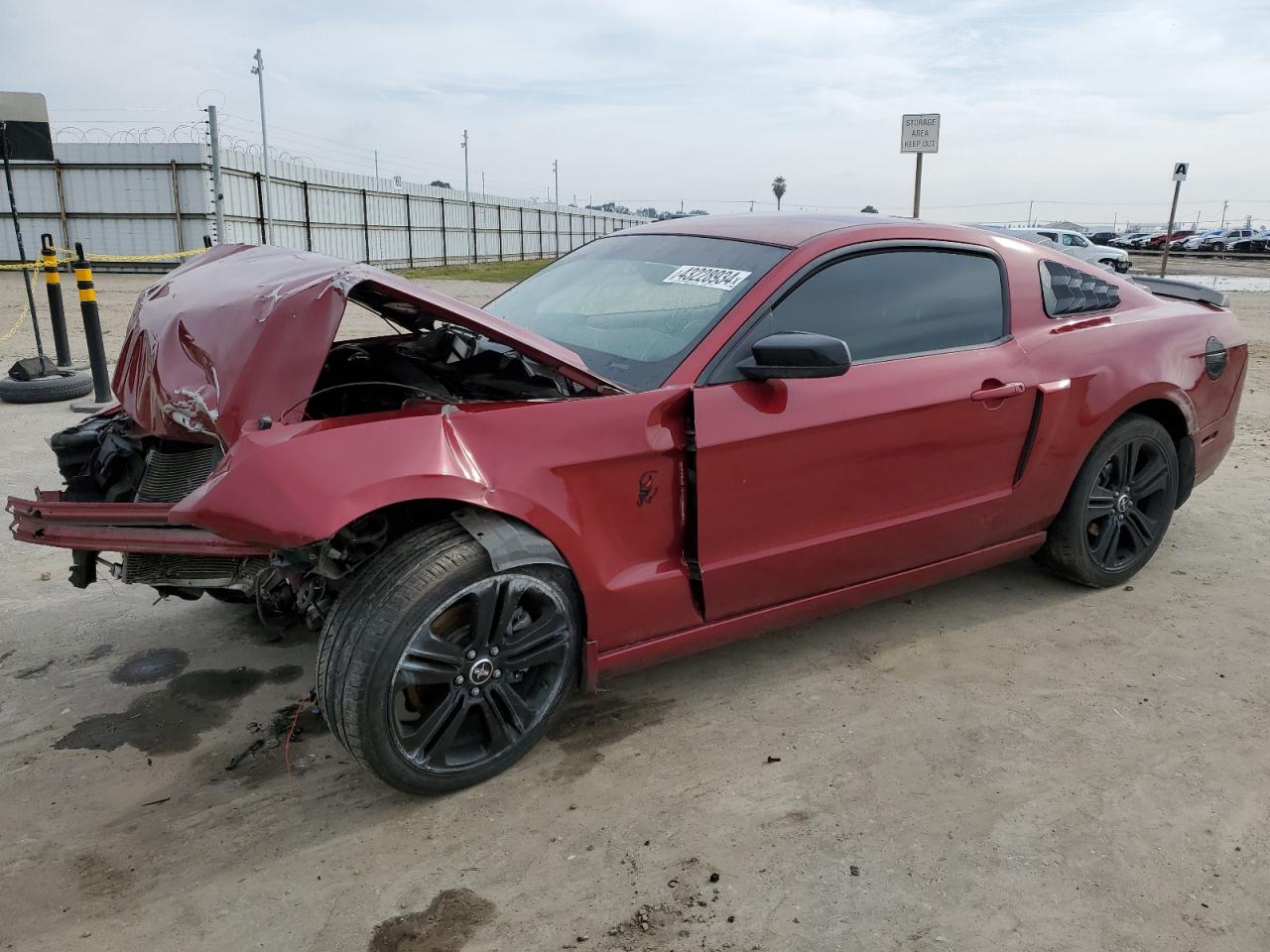 FORD MUSTANG 2014 1zvbp8am5e5216809