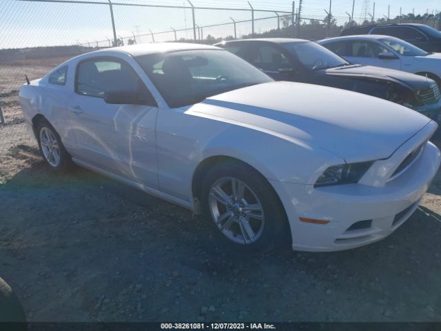 FORD MUSTANG 2014 1zvbp8am5e5218608