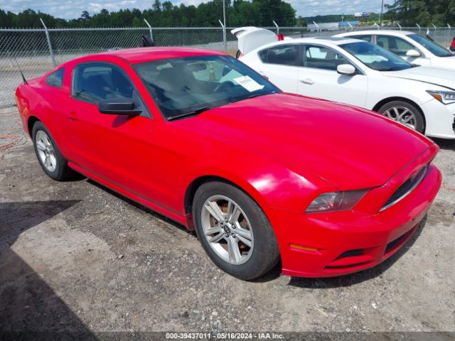 FORD MUSTANG 2014 1zvbp8am5e5236185