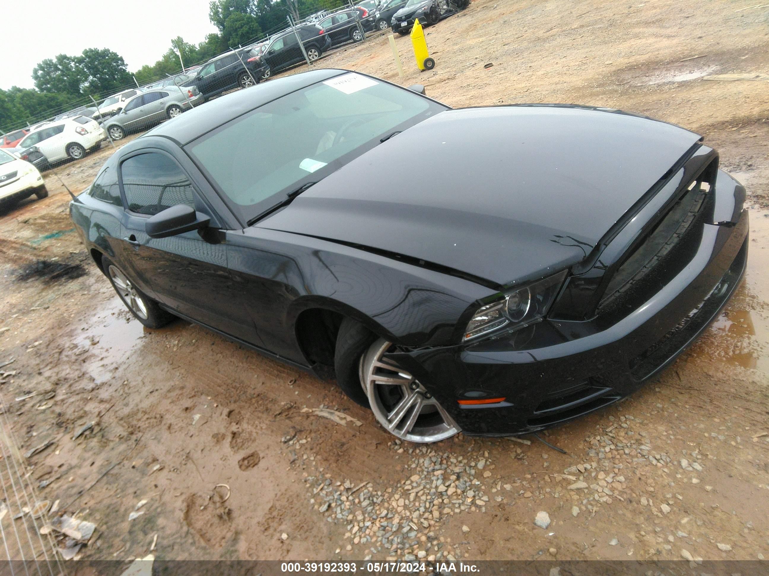 FORD MUSTANG 2014 1zvbp8am5e5237739