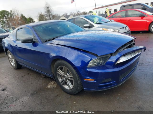 FORD MUSTANG 2014 1zvbp8am5e5241662