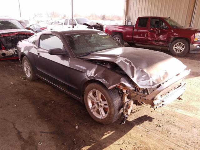 FORD MUSTANG 2014 1zvbp8am5e5244755