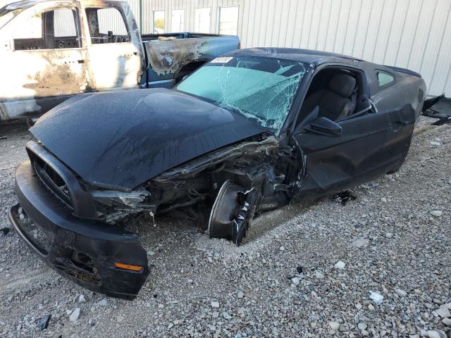 FORD ALL MODELS 2014 1zvbp8am5e5247123