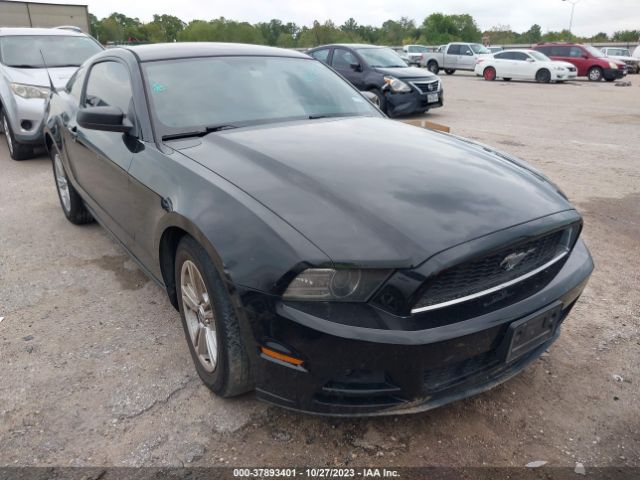 FORD MUSTANG 2014 1zvbp8am5e5256923