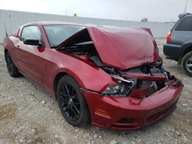 FORD MUSTANG 2014 1zvbp8am5e5287525