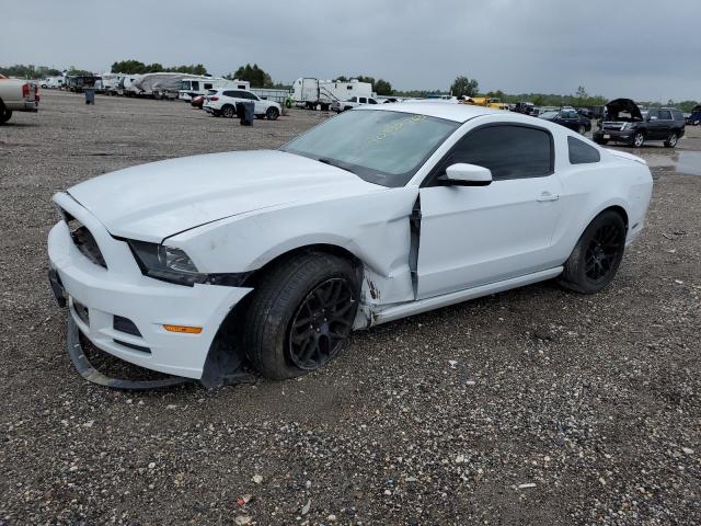 FORD ALL MODELS 2014 1zvbp8am5e5304873