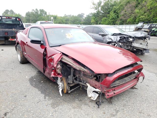 FORD MUSTANG 2014 1zvbp8am5e5309684