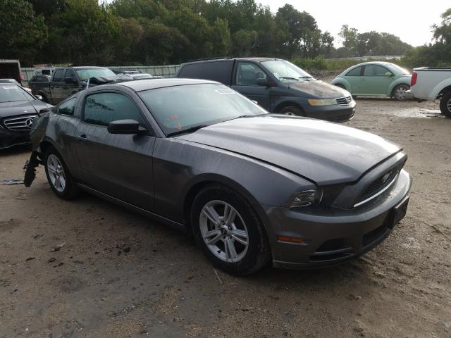 FORD MUSTANG 2014 1zvbp8am5e5310544