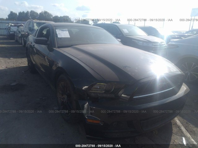 FORD MUSTANG 2014 1zvbp8am5e5316330