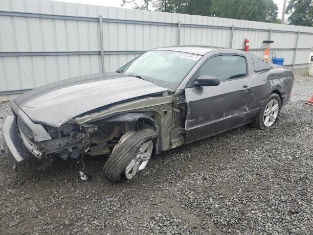 FORD MUSTANG 2014 1zvbp8am5e5331247