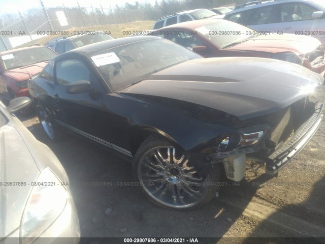 FORD MUSTANG 2011 1zvbp8am6b5101244